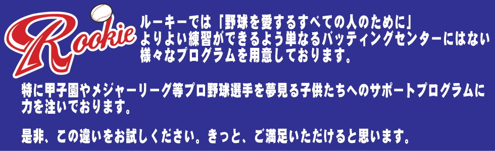 obeBOZ^[T|[gNuE[L[摜1
